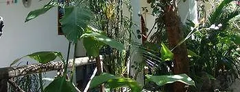 El Duende Del Mar Apartment Playa del Carmen 0*,  Mexico